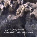 حرمان الوصال ـ الشاعر فهد ال منيف ـ اداء ماجد فارس البقمي