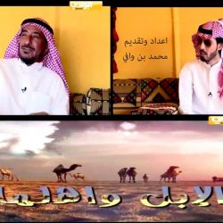 برنامج الابل واهلها – حلقة / نواف الزعبي – اعداد وتقديم / محمد بن وافي